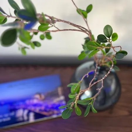 Hermes - In The Just Steps To The Sea! Apartment Chania (Crete)