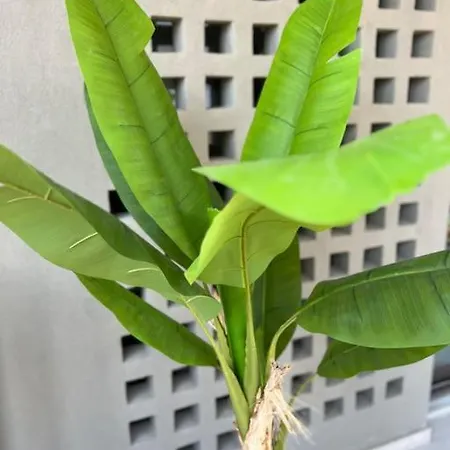 Apartament Hermes - In The Just Steps To The Sea! Chania (Crete)