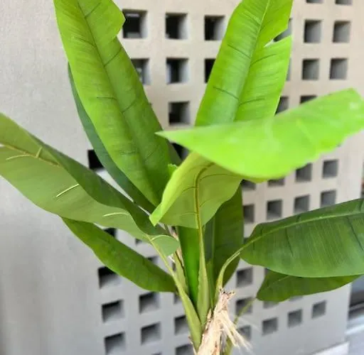 Apartment Hermes - In The Just Steps To The Sea! Chania (Crete)